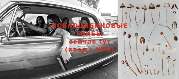 прущая мука Баксан